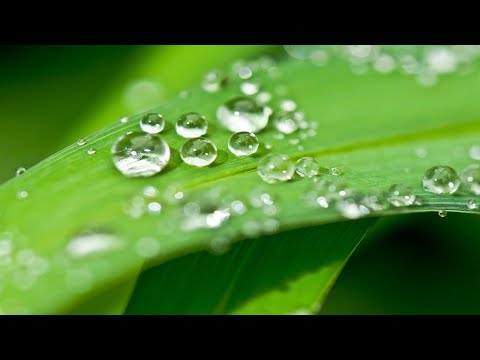 Relaxing music & Rain sounds, beautiful piano, background music