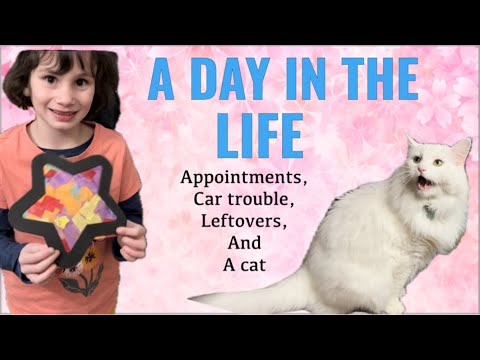 Day in my life // A typical Wednesday of a mom of 6