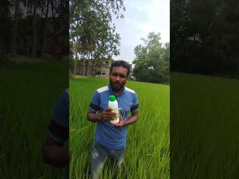 097 Farmer from Hooghly District | West Bengal | Nano Urea Testimonial