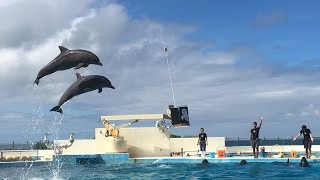 2016/10/19沖繩美麗海水族館表演(萬聖節限定版)