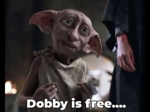 Sorry I had to make this- (BTW r.i.p dobby 😭🤚)