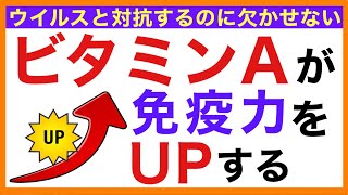 ビタミンA が免疫力をUPする【栄養チャンネル・分子栄養学入門】ビタミンA/免疫力