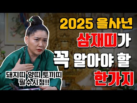 2025 을사년 삼재띠 꼭 봐야하는 영 #삼재풀이 #도법제자 #안성점집