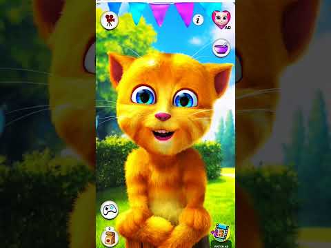 Chat lover talking Tom Ginger 2 #talkingtom #funny #shortvideo #cat #talkingtomvideos #cartoon