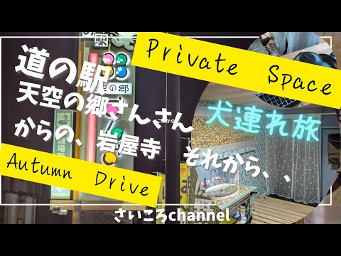 【寺巡り車中泊旅】道の駅天空の郷さんさんで仮眠をとって、岩屋寺へ。秋の犬連れドライブを満喫