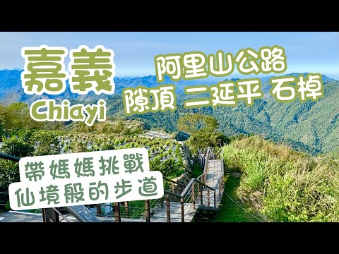 Taiwan Travel - Hiking in Alishan Mountain! Watch the sunrise at the B&B