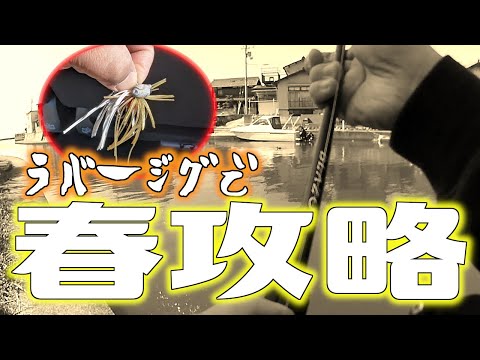 【バスフィッシング】春の琵琶湖でラバージグ！