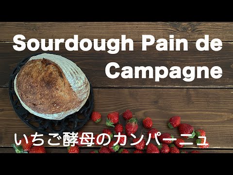 【自家製酵母】自家製酵母ストレート法で焼くいちご酵母のカンパーニュ、Sourdough Pain de Campagne