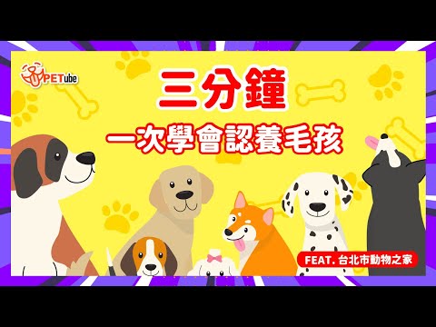 一次學會認養毛孩！🐾Feat 台北市動物之家 【哈寵小學堂】｜#哈寵PETube 第271集