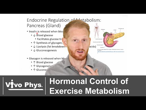 Hormonal Control of Exercise Metabolism