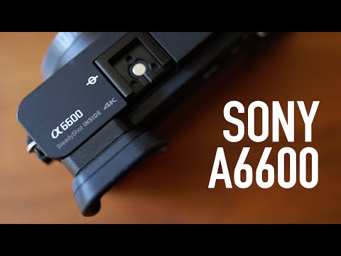 Sony A6600 Review - Best APS-C Camera?