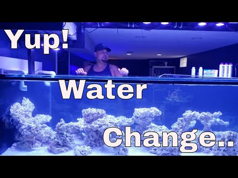 I will do water changes on my reef tank