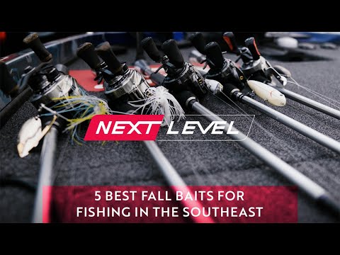 5 Best Fall Baits for Fishing the Southeast w/ Andy Montgomery [NEXT LEVEL]