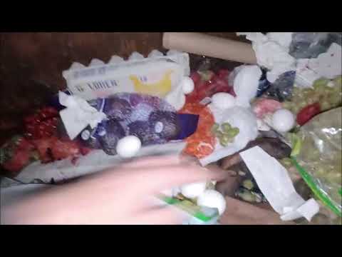 DUMPSTER DIVING AT ALDI - FREE EGGS!