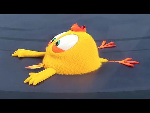 Chicky's run | Where's Chicky? | Cartoon Collection in English for Kids | New episodes HD