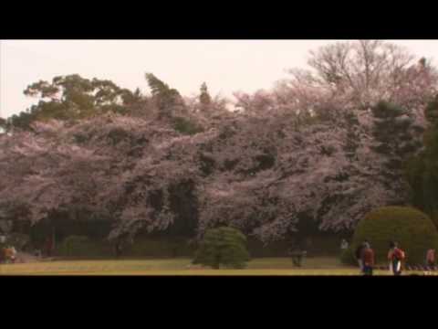 「瀬戸内の美」岡山の概要