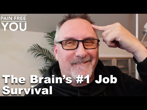 The Brain's #1 Job   Survival