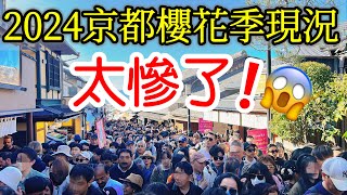 【日本旅遊】旅遊體驗太悲慘了！2024年京都櫻花季现况🌸京都賞櫻名所・日本櫻花季・京都自由行攻略・京都旅遊・京都美食・日本自由行・清水寺・花見小路・八阪神社・祇園白川・京都站・Japan Kyoto