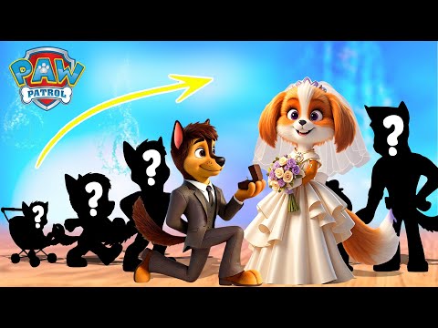 PAW Patrol 2024 Human Growing up Compilation | Cartoon Wow