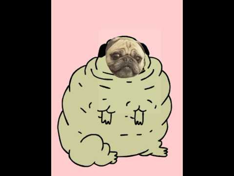 hilarious relatable fat pug, weight loss fail! funny cute pet