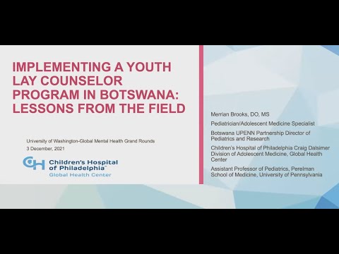 Implementing a Youth Lay Counselor Program in Botswana: Lessons from the Field