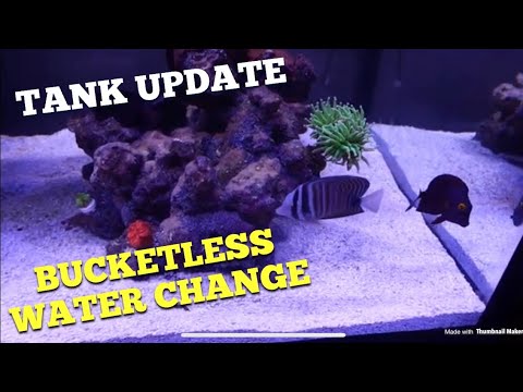 WaterBox update + performing water change