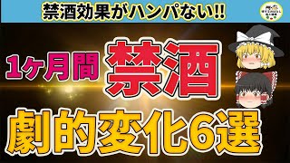 【ゆっくり解説】1ヶ月禁酒すると⁉禁酒効果がハンパない！体に起こる劇的変化6選