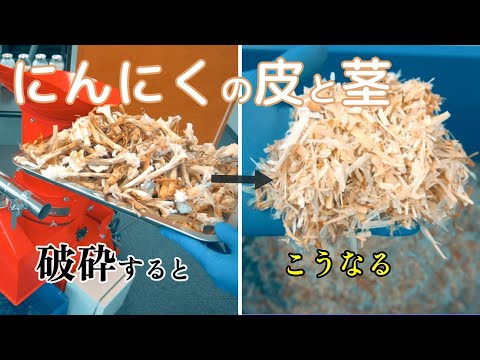 【野菜くずの有効活用に】にんにくの皮・茎を小型破砕機で砕くとどうなるのか？