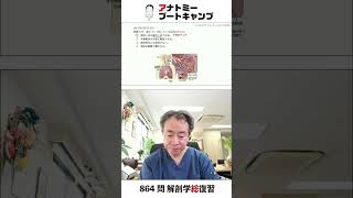 【 #国試1分道場 ・呼吸器系】肺について誤っている記述はどれか。　１．肺胞上皮は線毛上皮である　２．栄養動脈は気管支動脈である　３．細気管支には軟骨がない　４．表面は胸膜で覆われる #解剖学