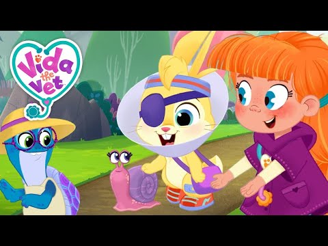 The Cheer Up Song! + More Music | Vida the Vet | Songs for Kids