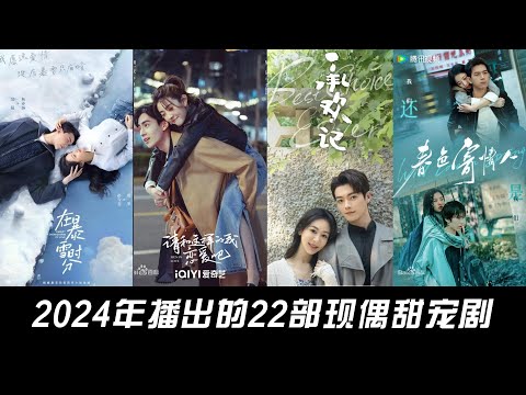 Among the 22 sweet idol dramas aired in 2024, which one do you think is the best?