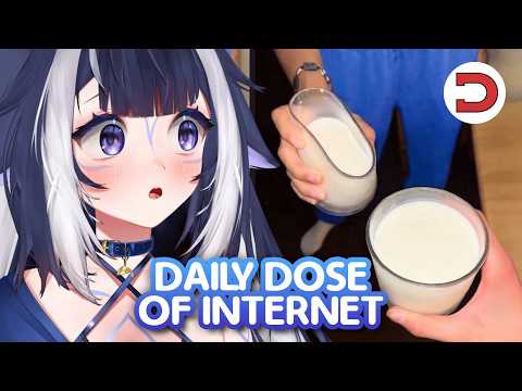 Shylily Reacts to Daily Dose of Internet for 38min