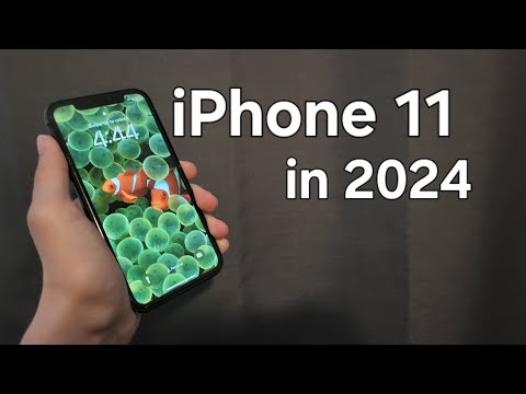 iPhone 11 in 2024