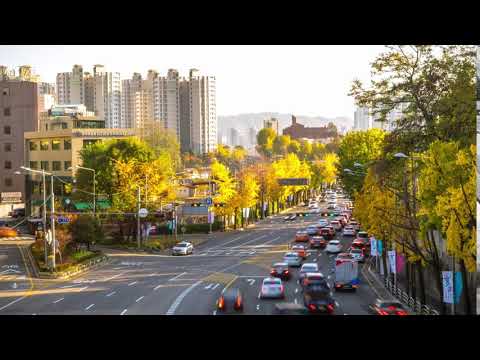 Time Lapse Traffic | Copyright Free Video Footage