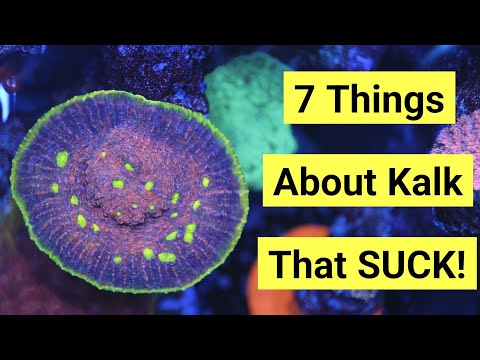 7 Things I Hate About Dosing Kalkwasser