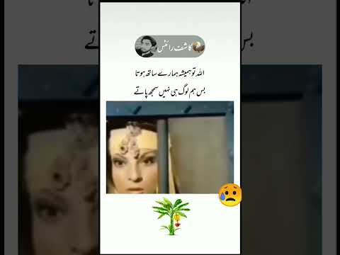 اللہ تو ہمیشہ ہمارے ساتھ ہوتا 💯|| Islami video || Islamic status || Kashif Jaan 302 | Urdu shayari |