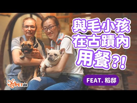 與毛小孩在古蹟內用餐？！Feat.稻邸【編走編看】｜#哈寵PETube 第247集