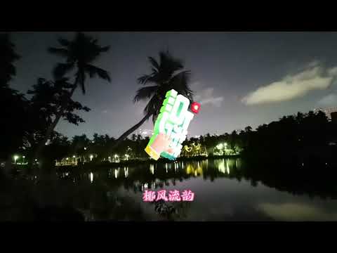 打卡海南！海口人民公园——东湖夜景！湖光山色！椰影婆娑！