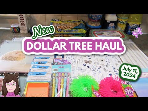 New Dollar Tree Haul! Awesome Finds!! July 11, 2024