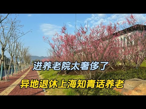 异退上海知青话养老，养老真不敢想