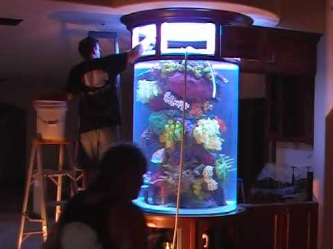 Cylinder Aquarium Installation, LA Fishguys, Episode One, Part 3