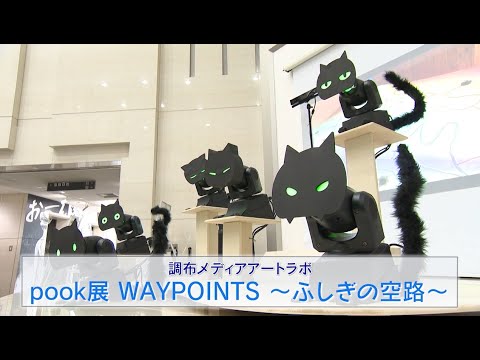 調布メディアアートラボ「pook展 WAYPOINTS～ふしぎの空路～」(2024年7月20日号)