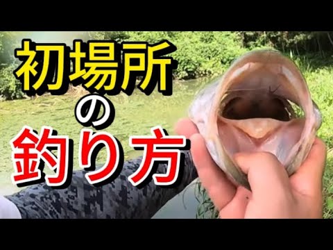 【バス釣り】初場所でデカバスをボコボコ釣る方法・考え方を実釣しながら解説します