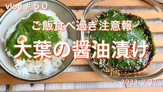 ［大葉の醤油漬け］#青紫蘇の醤油漬け#ご飯のおとも#ご飯が止まらない#簡単手作り#季節の手作り