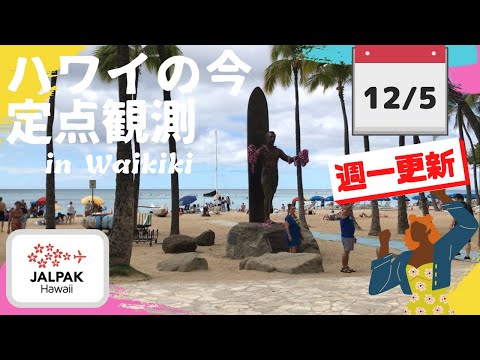 【ハワイの今】ワイキキ定点観測  2023年12月5日