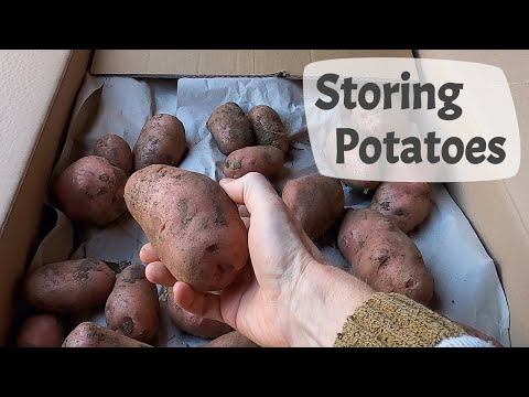 How To Store Potatoes