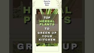 Top herbal plants to green up your kitchen| Plants to elevate kitchen decor #shortsfeed #viralvideo