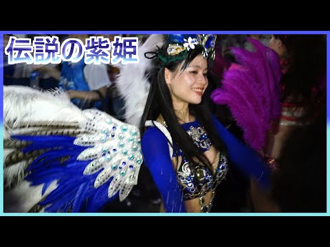 4K 美人大学生サンバ 伝説の紫姫 カーニバル ウニアンメンバー 平間銀座サマーフェスタ 2023 Japanese Samba street festival