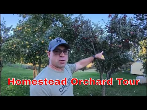 Branching Out: Maintenance and Development of Homestead Orchards and Woodlots