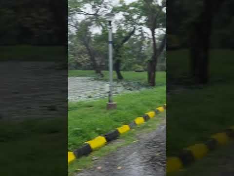 way to my office on a rainy day